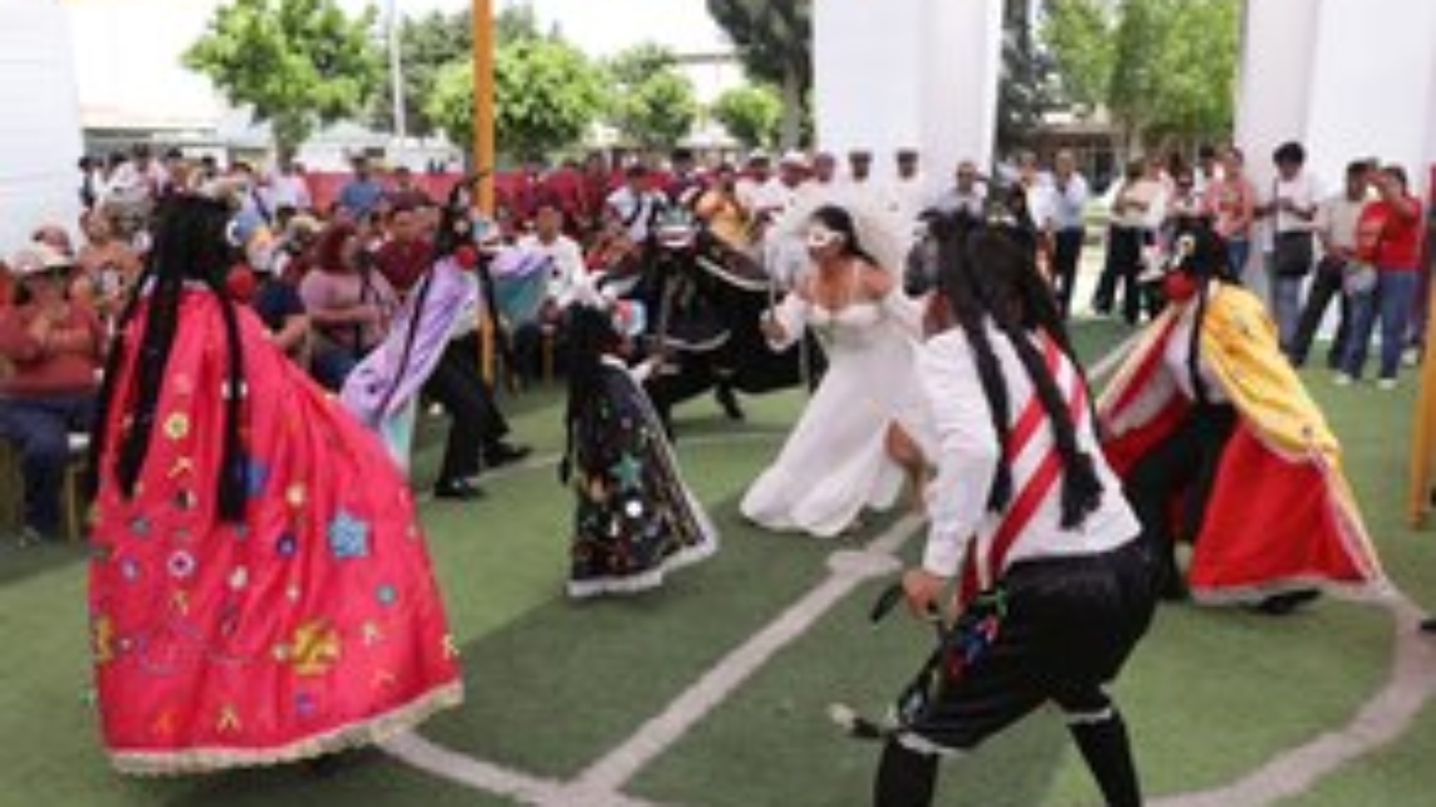 WhatsApp Image 2026-02-23 at 3.43.35 PM (1)