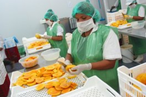 mangos prensa proceso productivo (1)