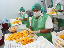 mangos prensa proceso productivo (1)