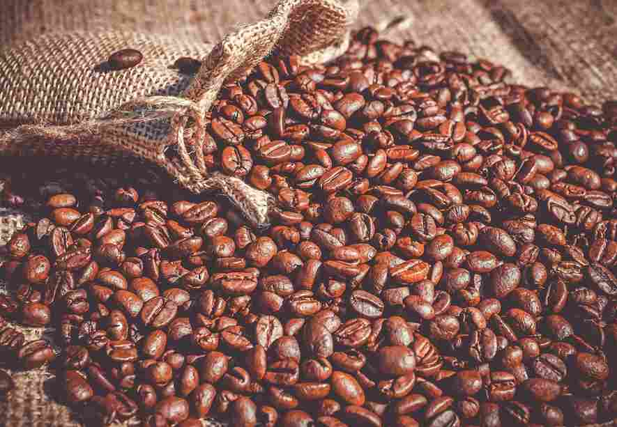 ADEX café (1)