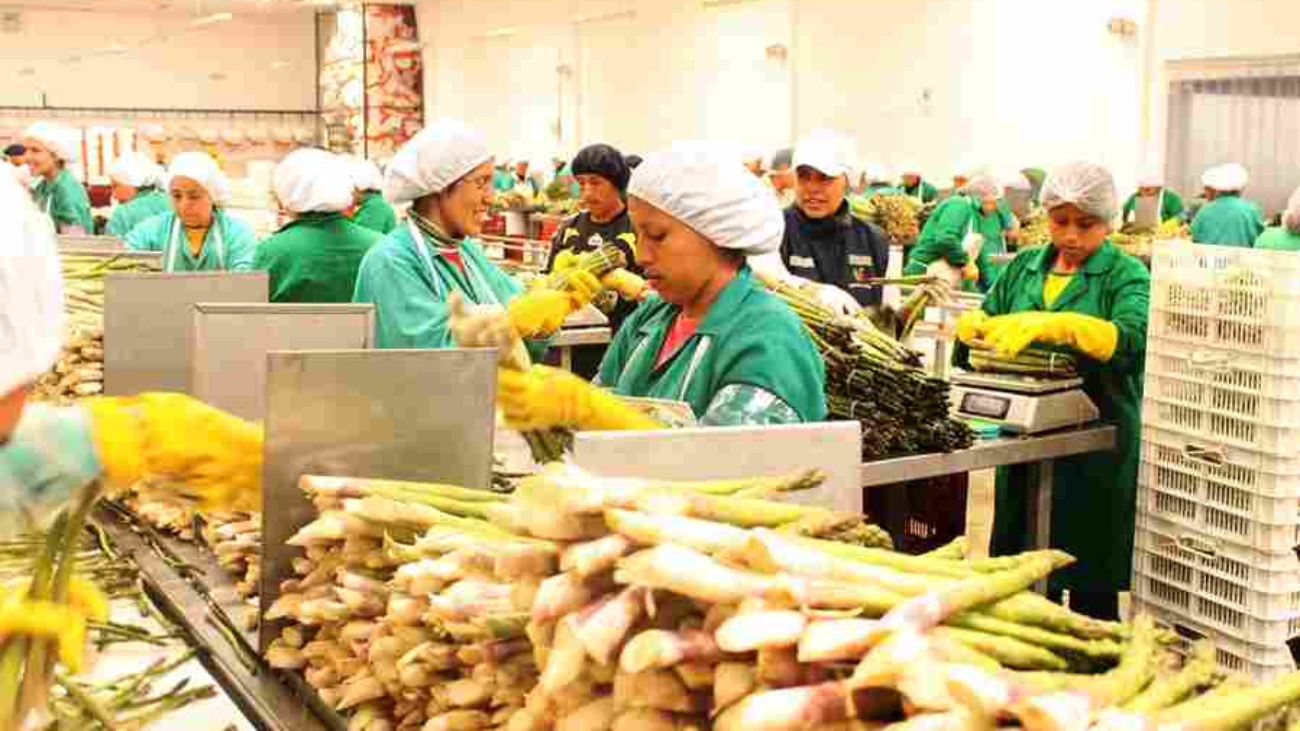 ADEX.prensa.agroexportaciones (1)