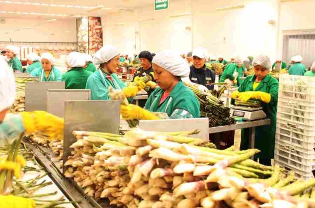 ADEX.prensa.agroexportaciones (1)