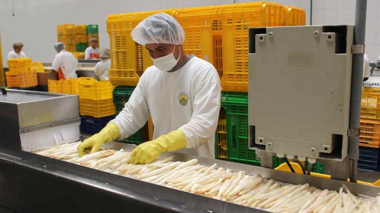 Espárragos prensa adex (2) (1)