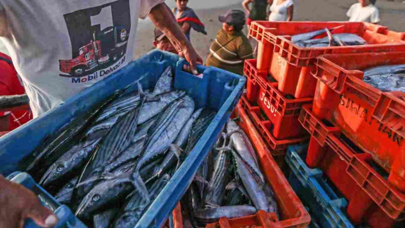 WhatsApp Image 2026-03-06 at 11.35.33 AM (1)