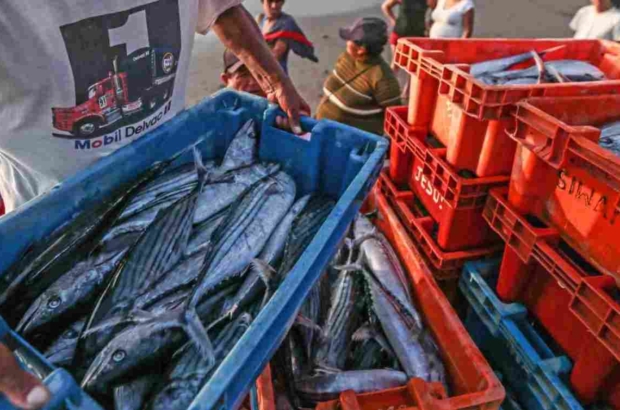 WhatsApp Image 2026-03-06 at 11.35.33 AM (1)