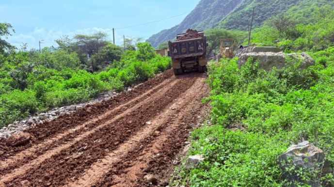 WhatsApp Image 2026-03-14 at 9.23.54 PM (1)