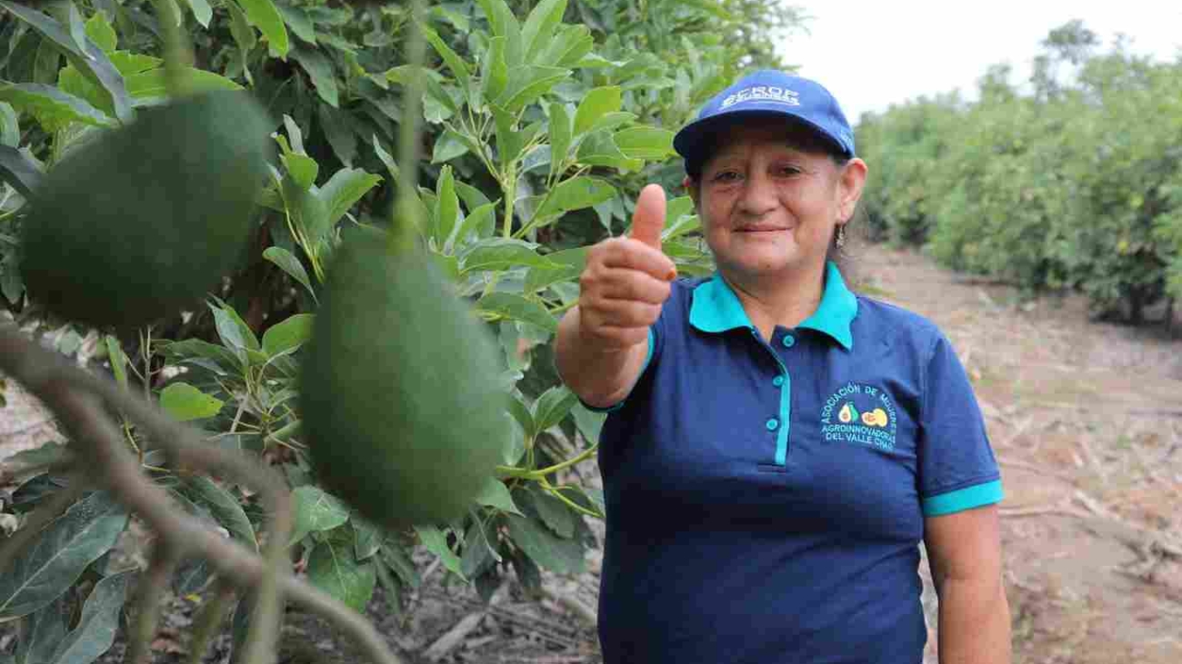 WhatsApp Image 2026-03-17 at 10.10.50 AM (1)