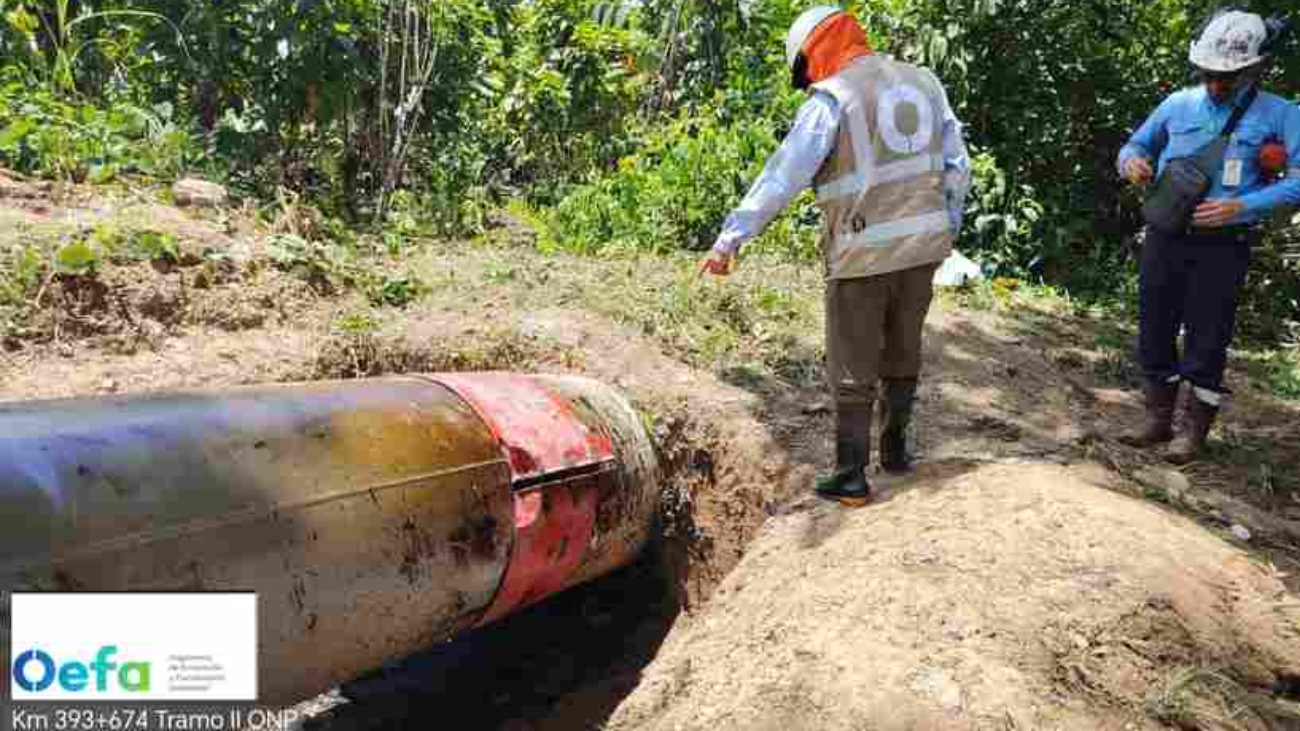 WhatsApp Image 2026-04-01 at 6.55.53 AM (1)