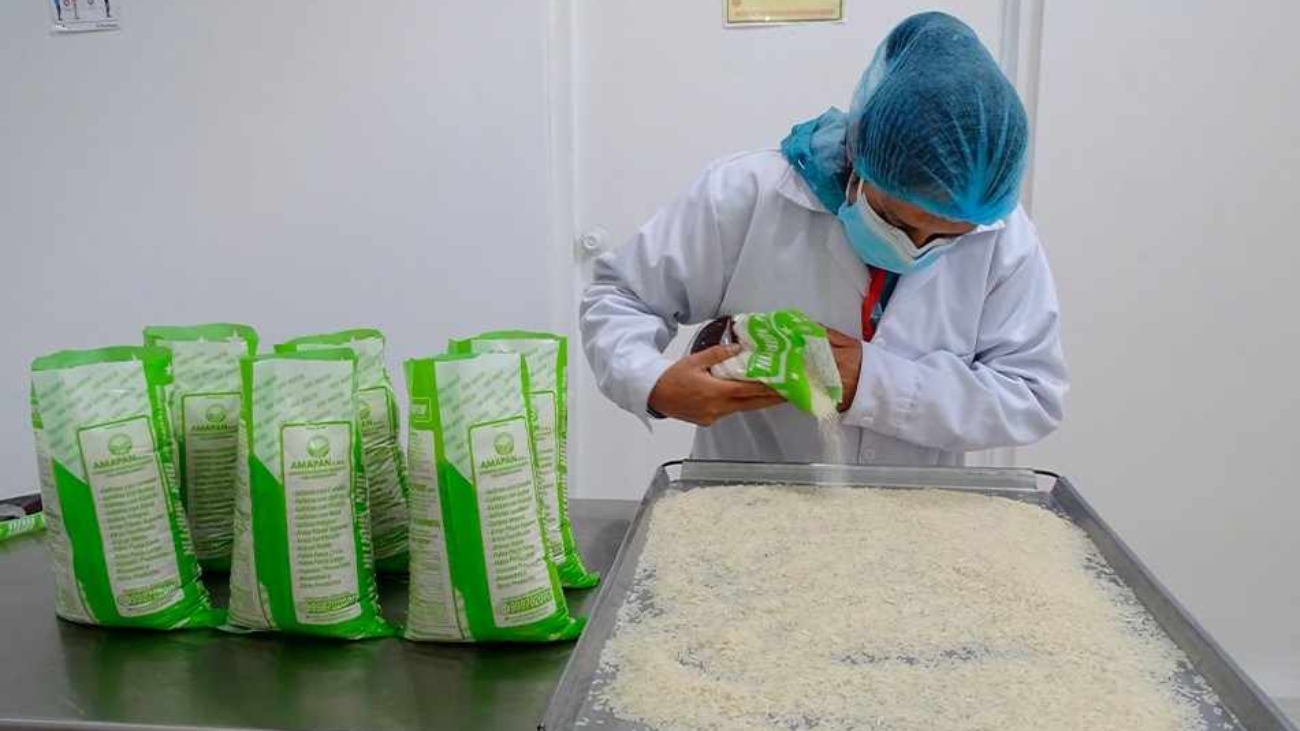 WhatsApp Image 2026-04-17 at 10.42.00 AM (1)