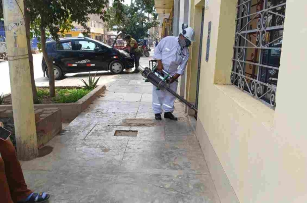 dengue (1)