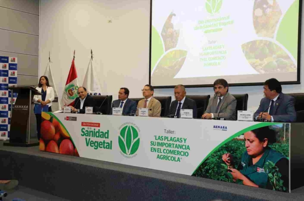 ADEX-Senasa-Día-Sanidad-Vegetal (11) (1)