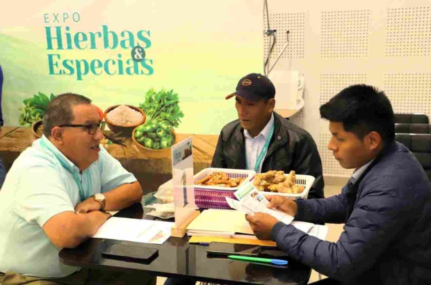 ADEX-expo-hierbas-y-especias-prensa (4) (1)