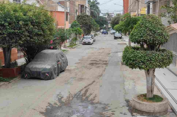 WhatsApp Image 2026-05-20 at 1.28.49 PM (1) (1)