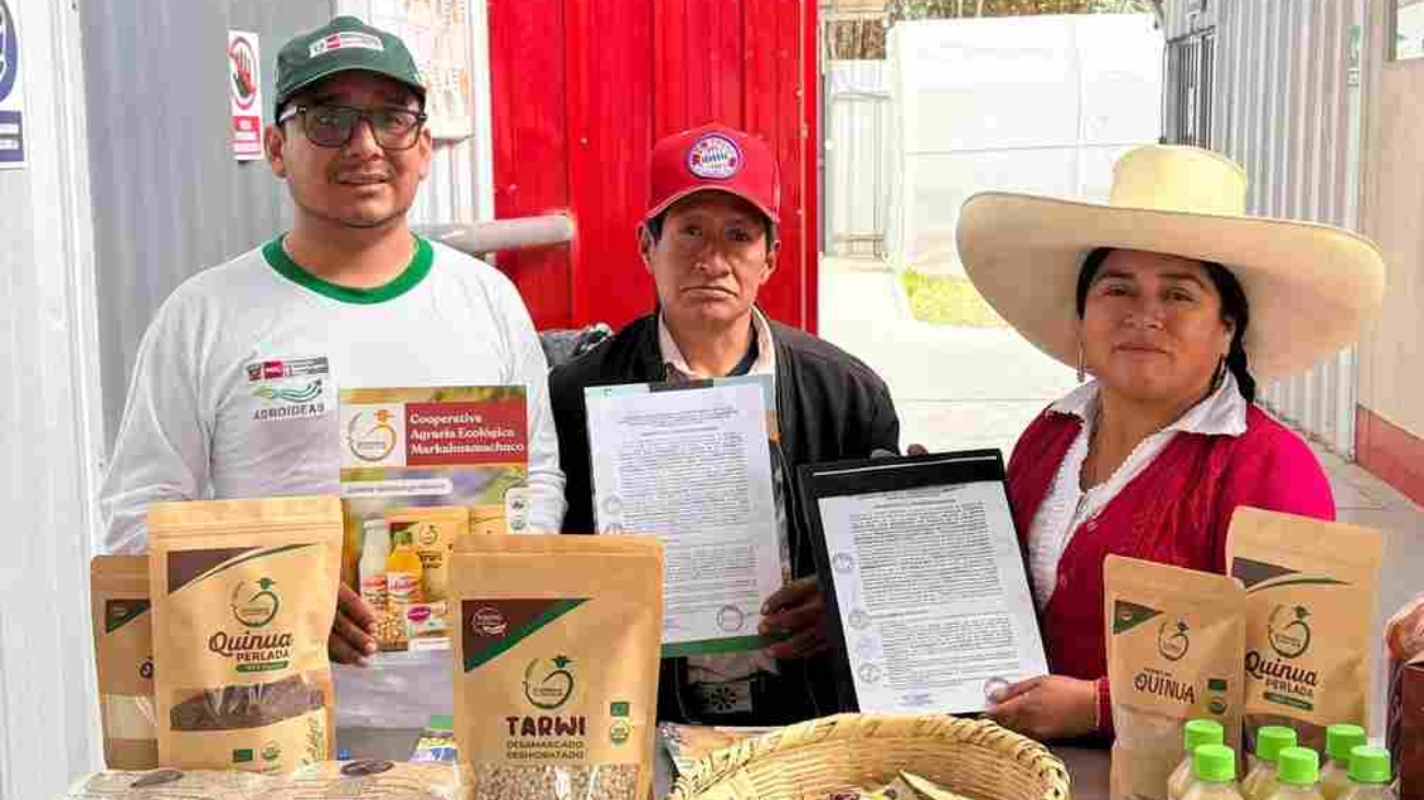 agroideas (1)