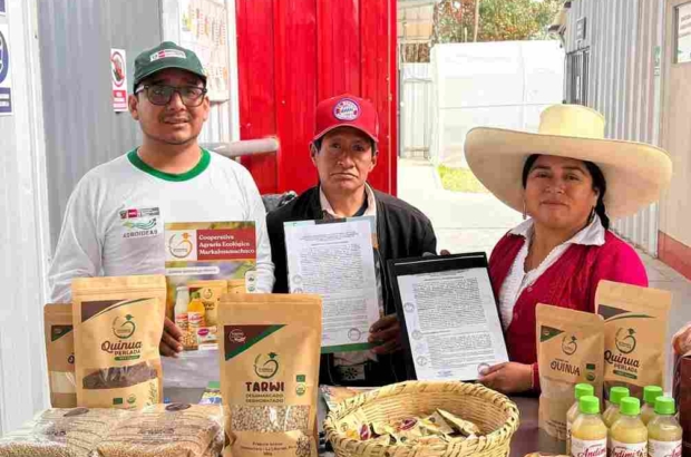 agroideas (1)