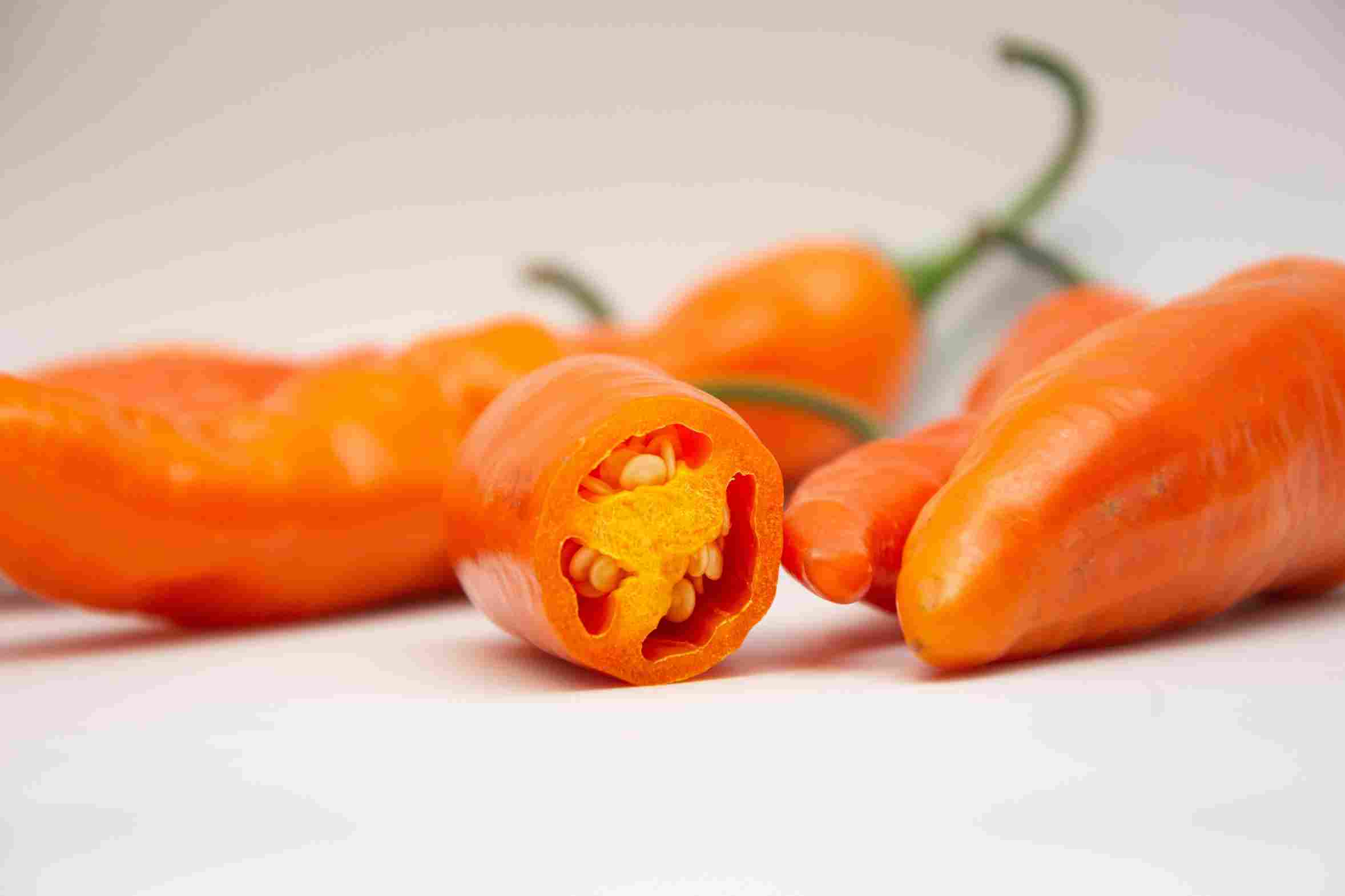 Capsicum,Baccatum.,Peruvian,Pepper.,Orange,Pepper.,Aji,Amarillo.,Hot,Pepper