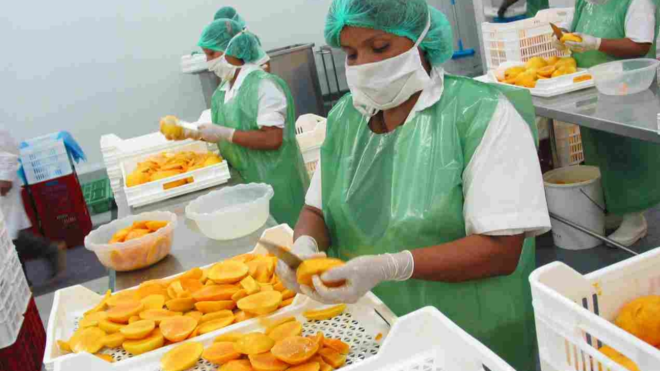 mangos prensa proceso productivo (1)