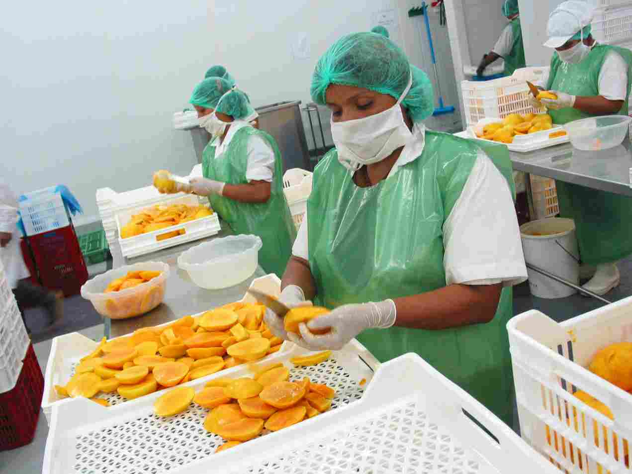 mangos prensa proceso productivo (1)