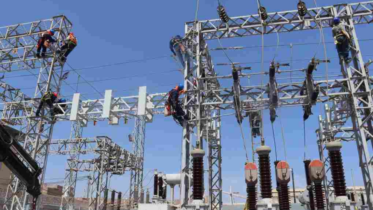 electronort (1)