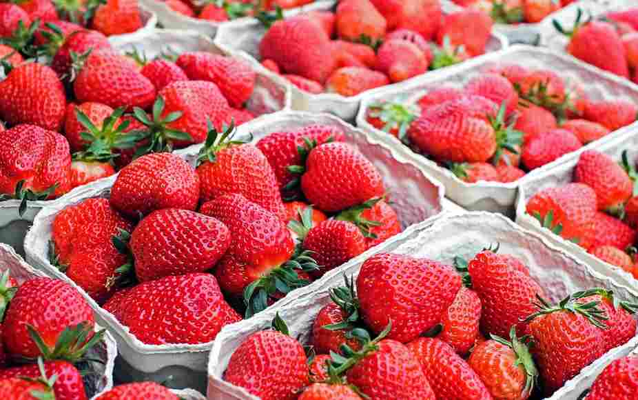 fresas-adex (3) (1)