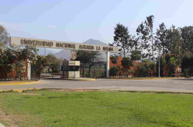 1 Universidad Agraria La Molina (1)