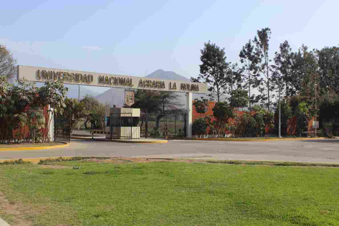 1 Universidad Agraria La Molina (1)